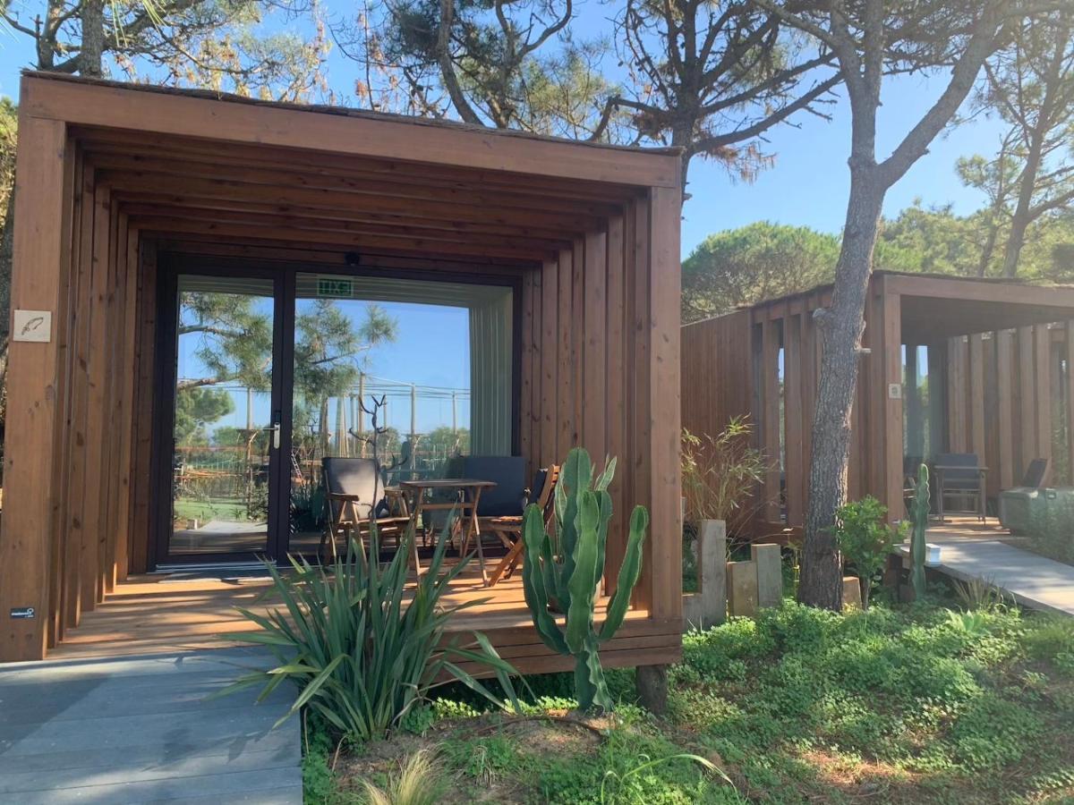 Azen Cool House Bed & Breakfast Azenhas do Mar Luaran gambar